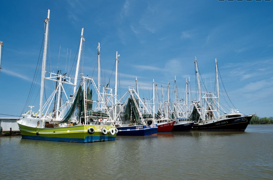 Shrimp Boats